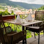 Wellnesshotel Rothfuss Mit Und 2 Schwimmbaedern 4* Bad Wildbad