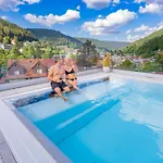Hotel Wellnesshotel Rothfuss Mit Und 2 Schwimmbaedern 4*