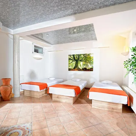 Wellnesshotel Rothfuss Mit Und 2 Schwimmbaedern 4* Bad Wildbad