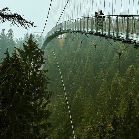 Wellnesshotel Rothfuss Mit Und 2 Schwimmbaedern Hotel Bad Wildbad