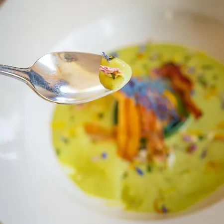 酒店 Wellnesshotel Rothfuss Mit Und 2 Schwimmbaedern 巴特维尔德巴德