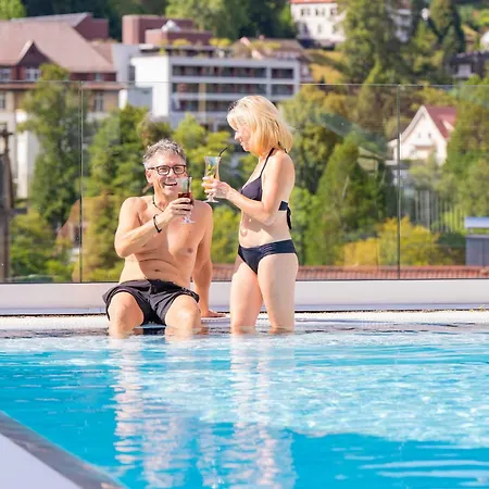 Wellnesshotel Rothfuss Mit Und 2 Schwimmbaedern 酒店 巴特维尔德巴德