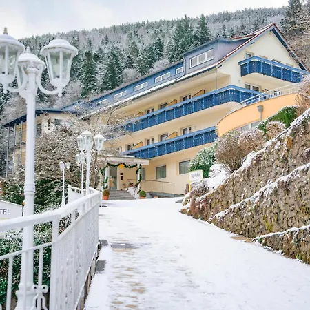 Wellnesshotel Rothfuss Mit Und 2 Schwimmbaedern 호텔 4*