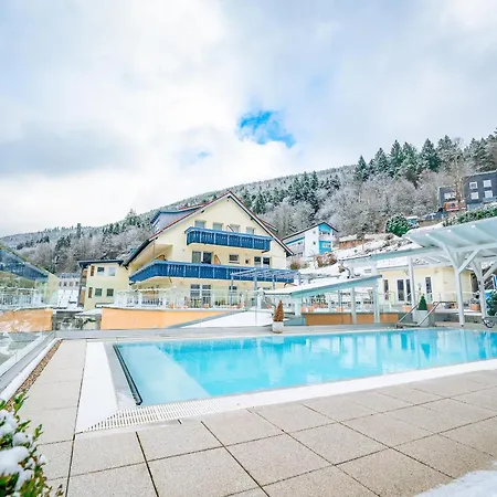 Wellnesshotel Rothfuss Mit Und 2 Schwimmbaedern 4* 바드윌드바드