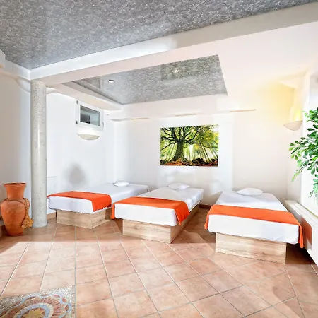 酒店 Wellnesshotel Rothfuss Mit Und 2 Schwimmbaedern 巴特维尔德巴德