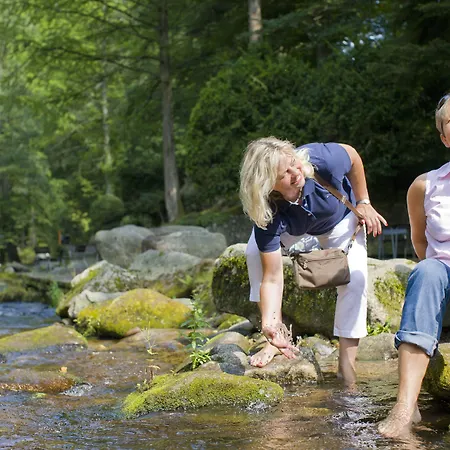 Wellnesshotel Rothfuss Mit Und 2 Schwimmbaedern