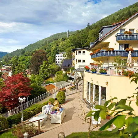 酒店 Wellnesshotel Rothfuss Mit Und 2 Schwimmbaedern