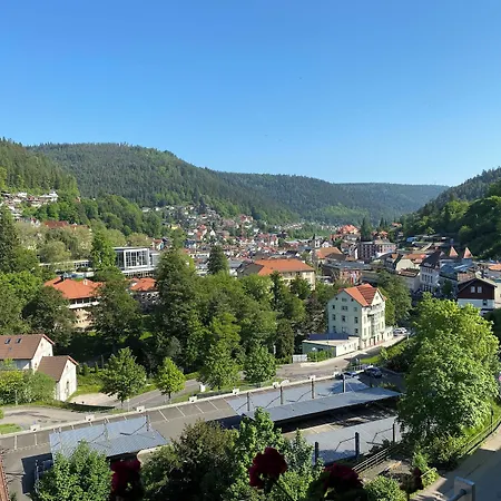 Wellnesshotel Rothfuss Mit Und 2 Schwimmbaedern 4*