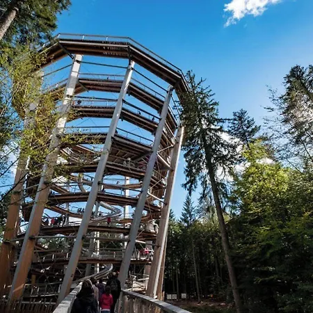 酒店 Wellnesshotel Rothfuss Mit Und 2 Schwimmbaedern