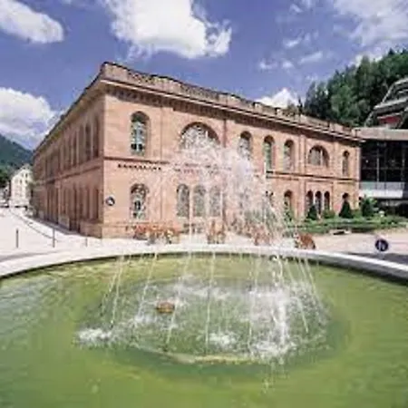 Hotel Wellnesshotel Rothfuss Mit Und 2 Schwimmbaedern 4*