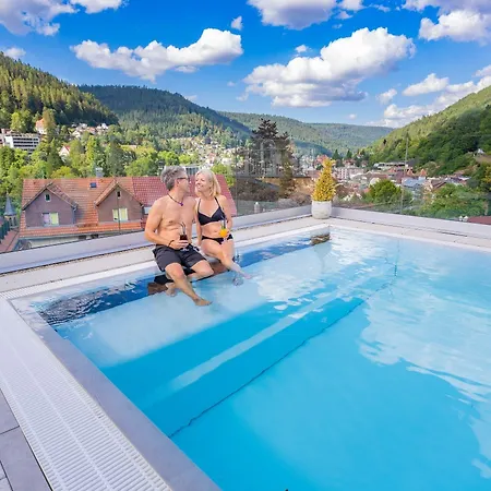 Hotel Wellnesshotel Rothfuss Mit Und 2 Schwimmbaedern 4*