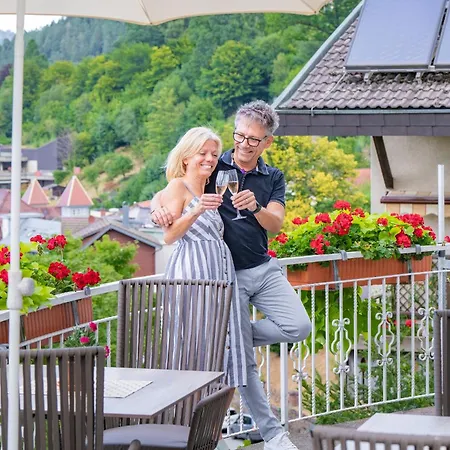Hotel Wellnesshotel Rothfuss Mit Und 2 Schwimmbaedern 4*