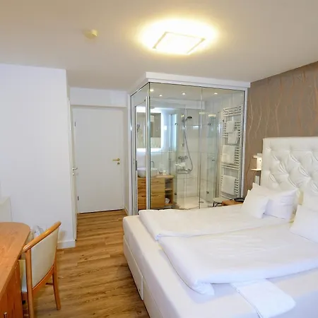 Hotel Wellnesshotel Rothfuss Mit Und 2 Schwimmbaedern 4*