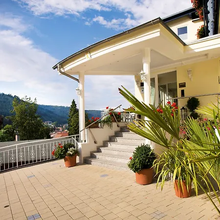 Wellnesshotel Rothfuss Mit Und 2 Schwimmbaedern 4*