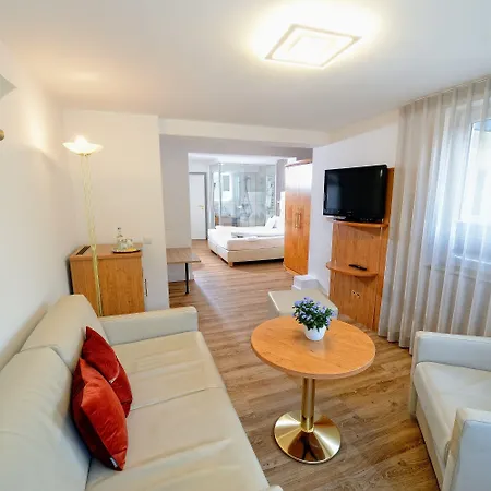 Hotel Wellnesshotel Rothfuss Mit Und 2 Schwimmbaedern 4*