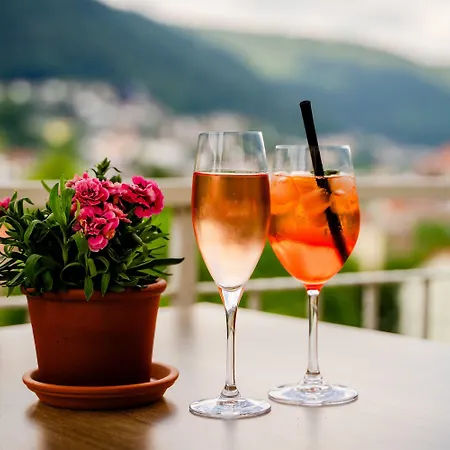 Wellnesshotel Rothfuss Mit Und 2 Schwimmbaedern Hotel 4*