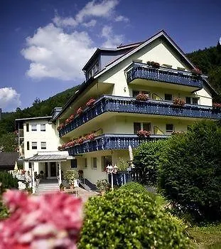 Wellnesshotel Rothfuss Mit Und 2 Schwimmbaedern 4*
