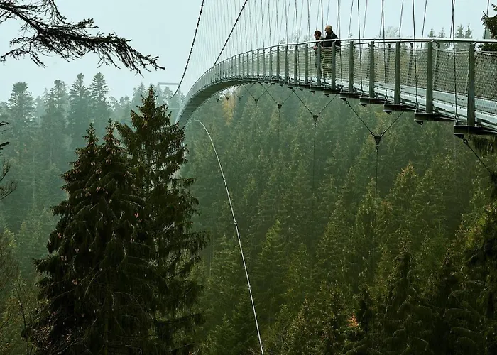 Wellnesshotel Rothfuss Mit Und 2 Schwimmbaedern מלון באד ווילבאד