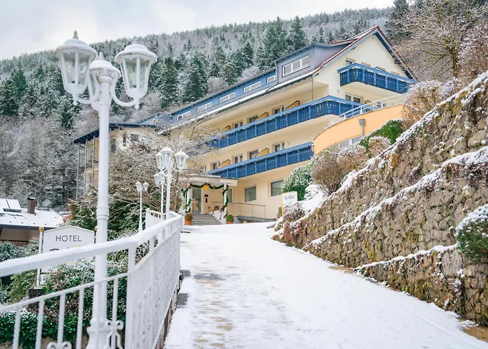 Wellnesshotel Rothfuss Mit Und 2 Schwimmbaedern מלון 4*