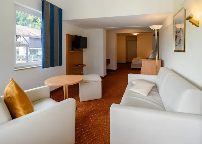 Wellnesshotel Rothfuss Mit Und 2 Schwimmbaedern 4*