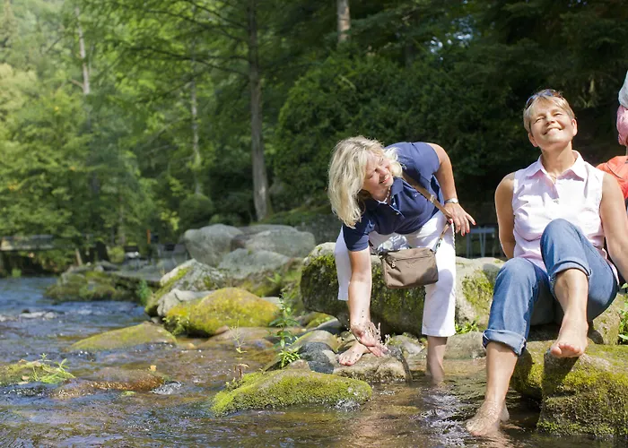Wellnesshotel Rothfuss Mit Und 2 Schwimmbaedern