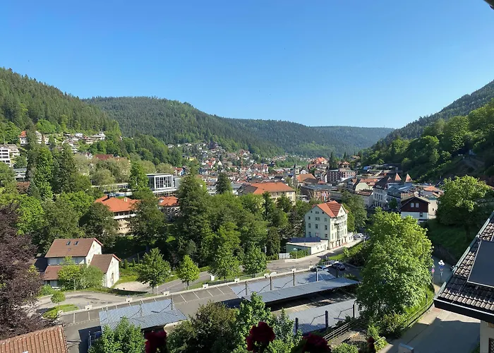 Wellnesshotel Rothfuss Mit Und 2 Schwimmbaedern 4*