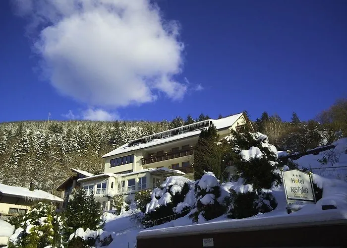 מלון Wellnesshotel Rothfuss Mit Und 2 Schwimmbaedern